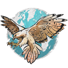 WW Falcon decal.png