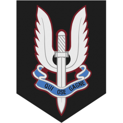BP XIV us 1 marine parachute regiment decal.png