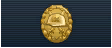 Ger wound badge gold ribbon.png