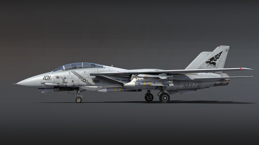 F-14B WTWallpaper004.jpg
