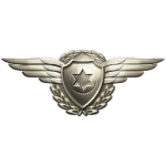 Il metal pilot wings insignia.png