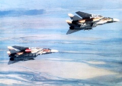 Iran F-14 Tomcats missle assortment.jpg