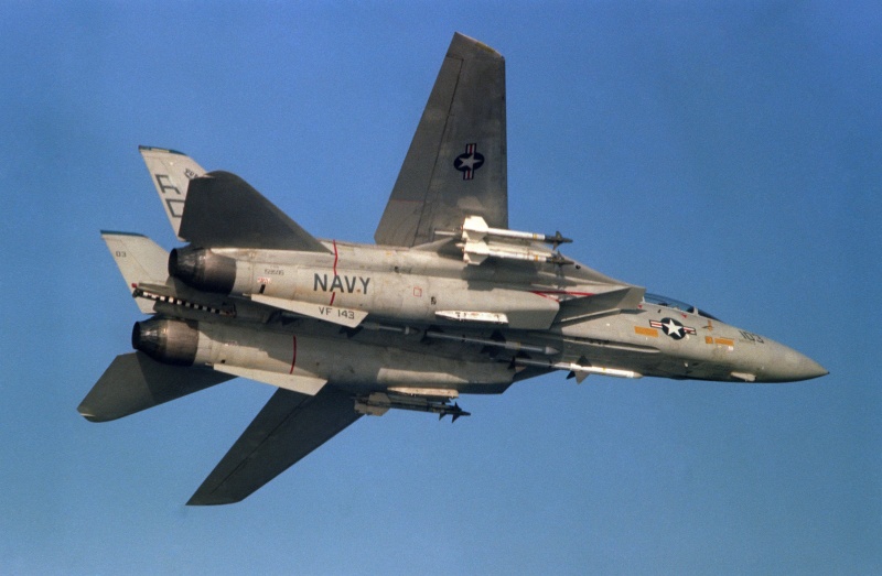 File:F-14A VF-143 with Sidewinder and Sparrow missiles.jpg - War ...