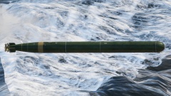 Type 54 model 3 (533 mm).jpg