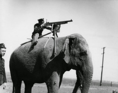 AprilFools machinegun elephant.jpg