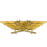 Sw pilot badge gold.png