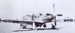 P-51C-11 'Evalina' in capture 1.jpg