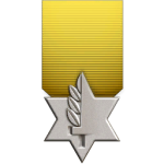 Il medal of valour.png