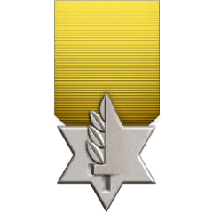 Il medal of valour.png
