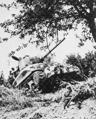 Sherman Rhino Normandy 1944.jpg