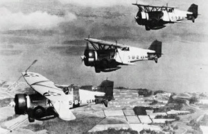 Curtiss BF2C-1 Goshawk VB-5 NAN1-86.jpg