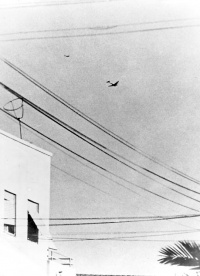 IAF pilot Modi Alon chasing an Egyptian C-47 over Tel Aviv, June 3, 1948