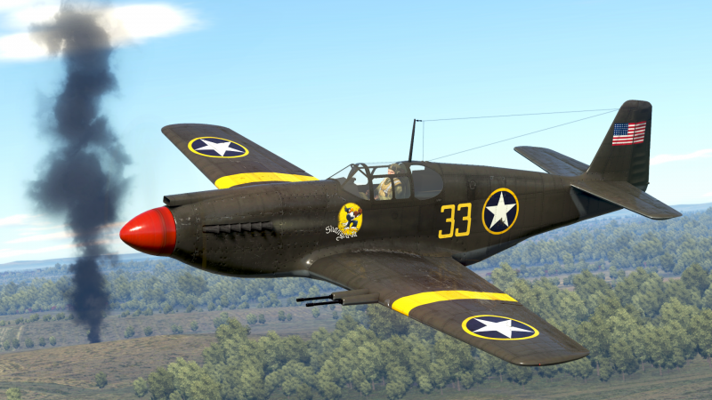 ArtImage P-51.png