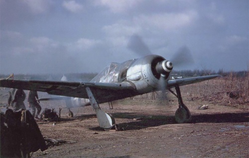 Fw 190 A-8(WNr681497).jpg