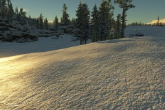 Surface - Snow.jpg