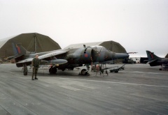1453 Harrier Falklands.jpg