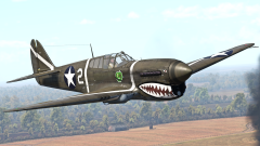 ArtImage P-40F-10.png