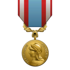 Fr africa medal.png