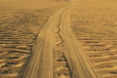 Surface - Sandy Road.jpg